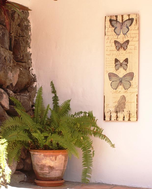 Casa Creativa Vendégház Hermigua Kültér fotó